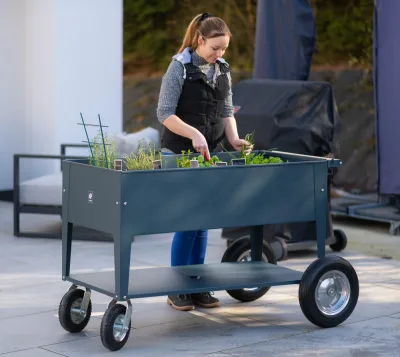 50NRTH Herstera Garden Kräuterfabrik Swivel anthrazit