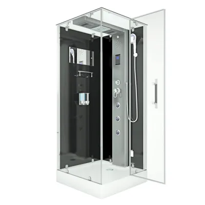 AcquaVapore by Sandra Jentho Dampfdusche Schwarz 90x218x90 cm