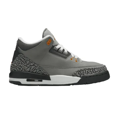Air Jordan 3 Retro GS Cool Grey 2021