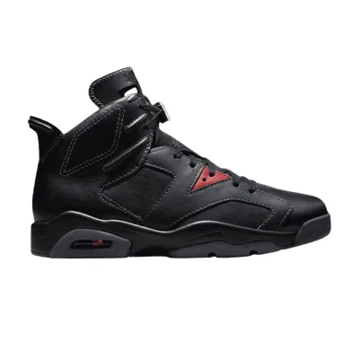 Air Jordan 6 Retro Premio Bin23