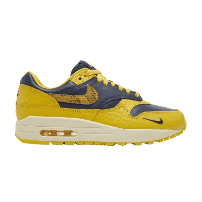 Air Max 1 CO.JP Michigan Head to Head