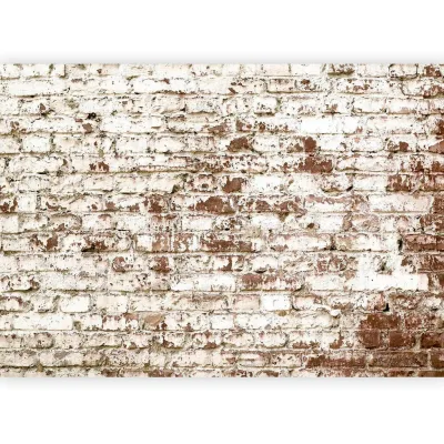 artgeist Fototapete Braun, Beige 400x280 cm