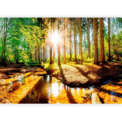 artgeist Fototapete Braun, Grün 300x210 cm