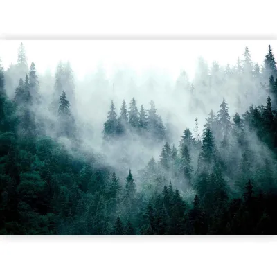 artgeist Fototapete Grau, Waldgrün 150x105 cm