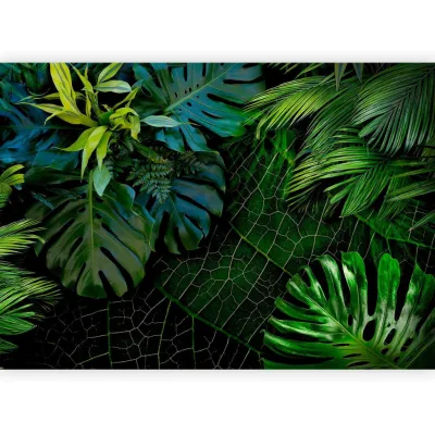artgeist Fototapete Grün, Dunkelgrün 300x210 cm