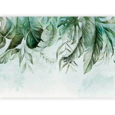 artgeist Fototapete Grün, Türkis 400x280 cm