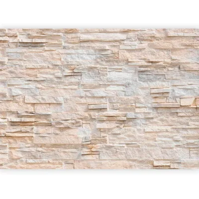 artgeist Fototapete Hellgrau, Beige 450x315 cm