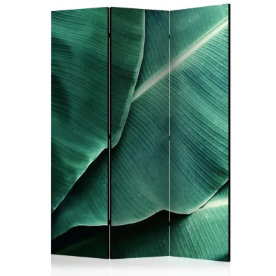 artgeist Paravent Banana Leaf Dunkelgrün, Mintgrün 135x172x3 cm