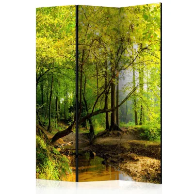 artgeist Paravent Grün, Hellbraun 135x172x3 cm