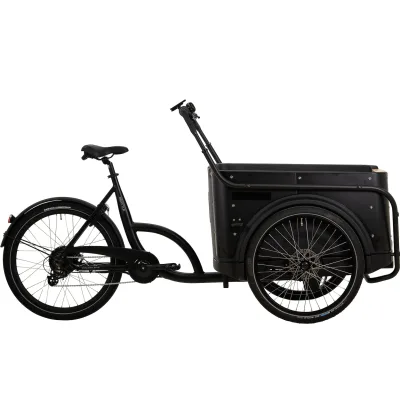 BBF eCargorider 3.1 Royal Lastenrad 26/24 Zoll Elektro Lastenfahrrad Cargo Bike Damen Herren Cargo Cycle bis 132 kg Zuladung