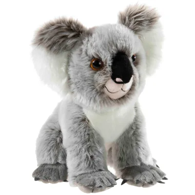 BEDROHTE TIERE Koala Bär
