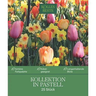 Bienenweide-Mischung in pastell
