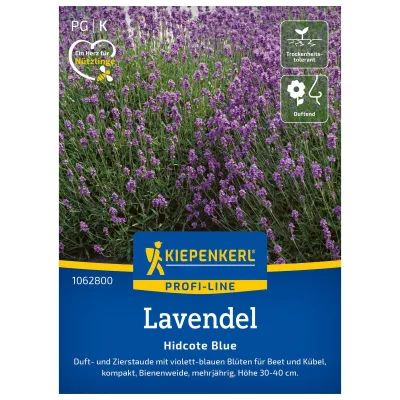 Blumensamen, Lavendel 'Hidcote Blue Strain', lila