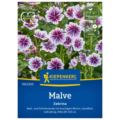 Blumensamen, Malve, 'Zebrina', pink, rosa & lila