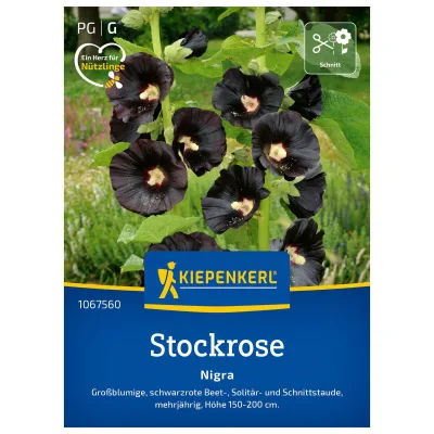 Blumensamen, Stockrose 'Nigra', schwarzrot