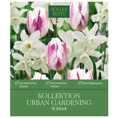 Blumenzwiebel-Kollektion 'Urban Gardening', weiß/violett, 15 Blumenzwiebeln