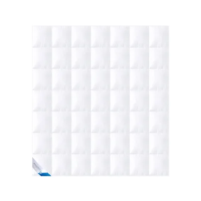 Böhmerwald Ganzjahresbettdecke Weiß 200x200 cm