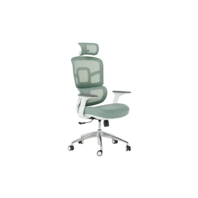 Carmen 7579 Ergonomischer Bürostuhl mit Netzrücken, Kopfstütze, 3D-Armlehnen und Alu-Fußkreuz – Grün