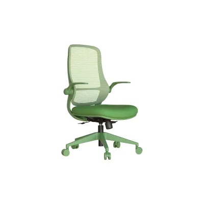 Carmen ASTARA Ergonomischer Bürostuhl mit Netzrücken – Grün