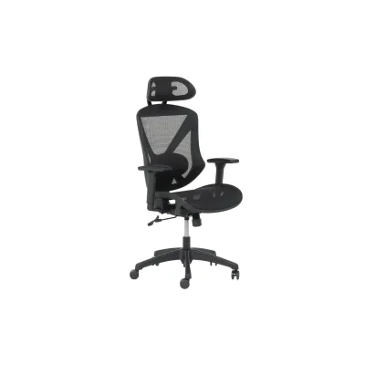 Carmen CAEN Ergonomischer Bürostuhl mit Netzrücken, Kopfstütze, Lordosenstütze und 1D-Armlehnen – Schwarz
