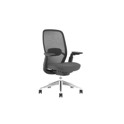 Carmen HORGEN Ergonomischer Bürostuhl mit Netzrücken, Lordosenstütze, 4D-Armlehnen und Alu-Fußkreuz – Schwarz