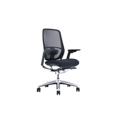 Carmen KLOTEN Ergonomischer Bürostuhl mit Netzrücken, Lordosenstütze, 4D-Armlehnen und Alu-Fußkreuz – Schwarz