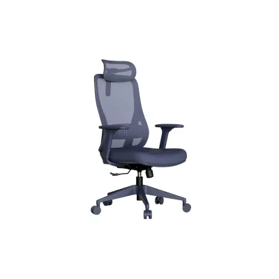 Carmen MASALI Ergonomischer Bürostuhl mit Netzrücken, Kopfstütze, Lordosenstütze und 3D-Armlehnen – Blau