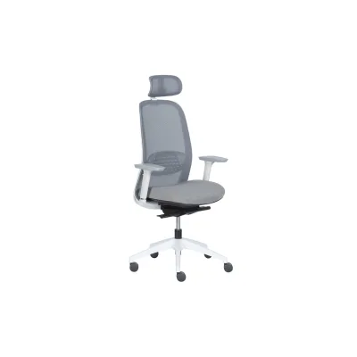 Carmen PANTIN Ergonomischer Bürostuhl mit Netzrücken, Kopfstütze, Lordosenstütze und 2D-Armlehnen – Grau