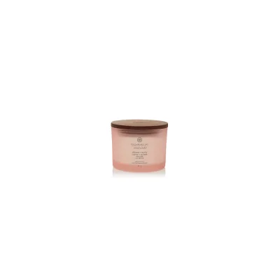 Chesapeake Bay Stillness + Purity Duftkerze mit 3 Dochten 312 g