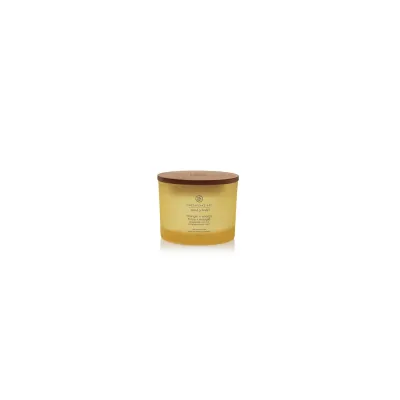 Chesapeake Bay Strength + Energy Duftkerze mit 3 Dochten 312 g