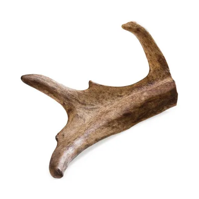 Chewies Rothirsch-Geweihstange, XS, 25–50 g