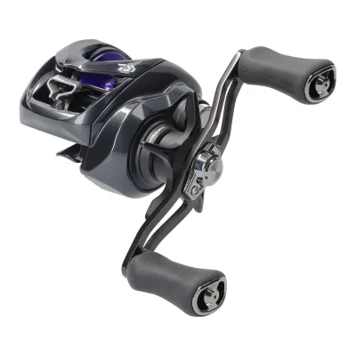 Daiwa 26 Prorex TW HD 200L Baitcastrolle