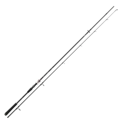 Daiwa Exceler Spin 2.40m 40-80g Spinnrute