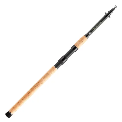 Daiwa Megaforce Tele 2,70m 40-90g Allroundrute