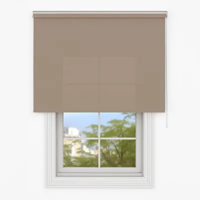 Deco-Raum Rollo Hellbraun 80x150 cm