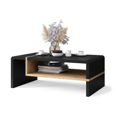 designimpex Couchtisch Schwarz, Eiche 100x40x60 cm