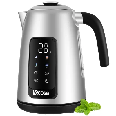 Ecosa Edelstahl Wasserkocher mit Temperatureinstellung 1,7L 2200W