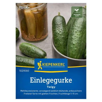Einlegegurke 'Twigy', grün, ca. 30 Gemüsesamen