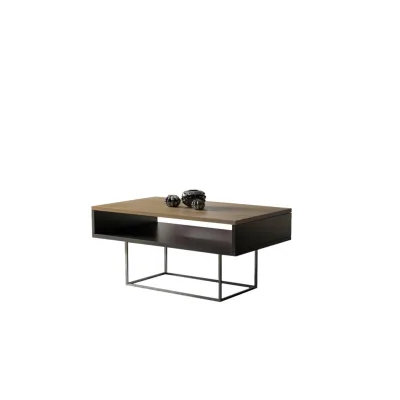 Endo-Moebel Couchtisch Eiche 60x53x100 cm