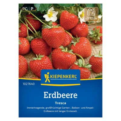 Erdbeersamen, Erdbeeren 'Tresca', rot