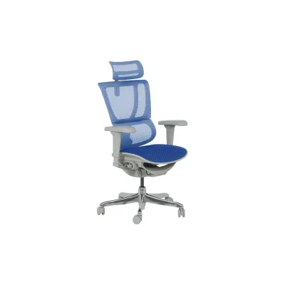 Ergohuman IOO ULTRA Ergonomischer Bürostuhl – Grau/Blau