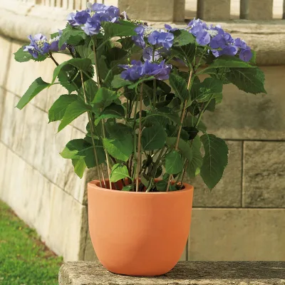 Euro 3 Plast Pflanzkübel 'Etria', terra, ca. Ø 44 x H 36 cm