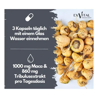 EXVital® Maca 1000 Plus Tribulus, 90 Kapseln