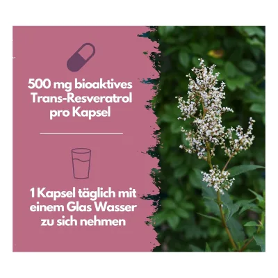 EXVital® Resveratrol Kapseln, hochdosiert, 120 Kapseln