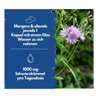 EXVital® Schwarzkümmelöl Kapseln, 400 Kapseln