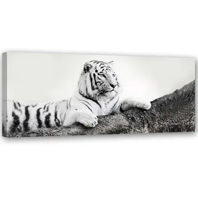 Feeby Bild Grau 120x40 cm