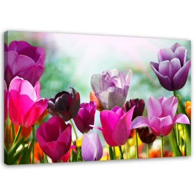 Feeby Leinwandbild Rosa 90x60 cm