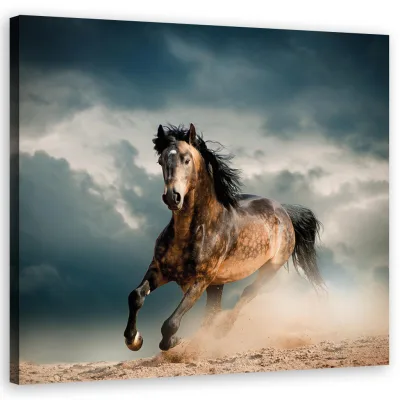 Feeby Wandbild Braun 50x50 cm