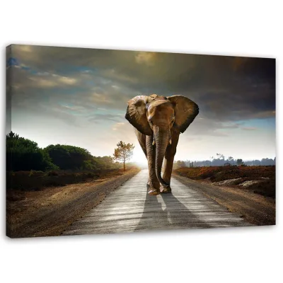 Feeby Wandbild Braun 90x60 cm