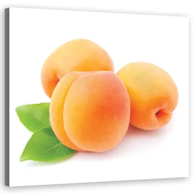 Feeby Wandbild Orange 30x30 cm